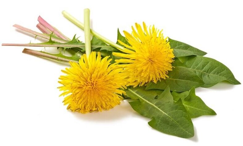 NEOflorax contains Dandelion