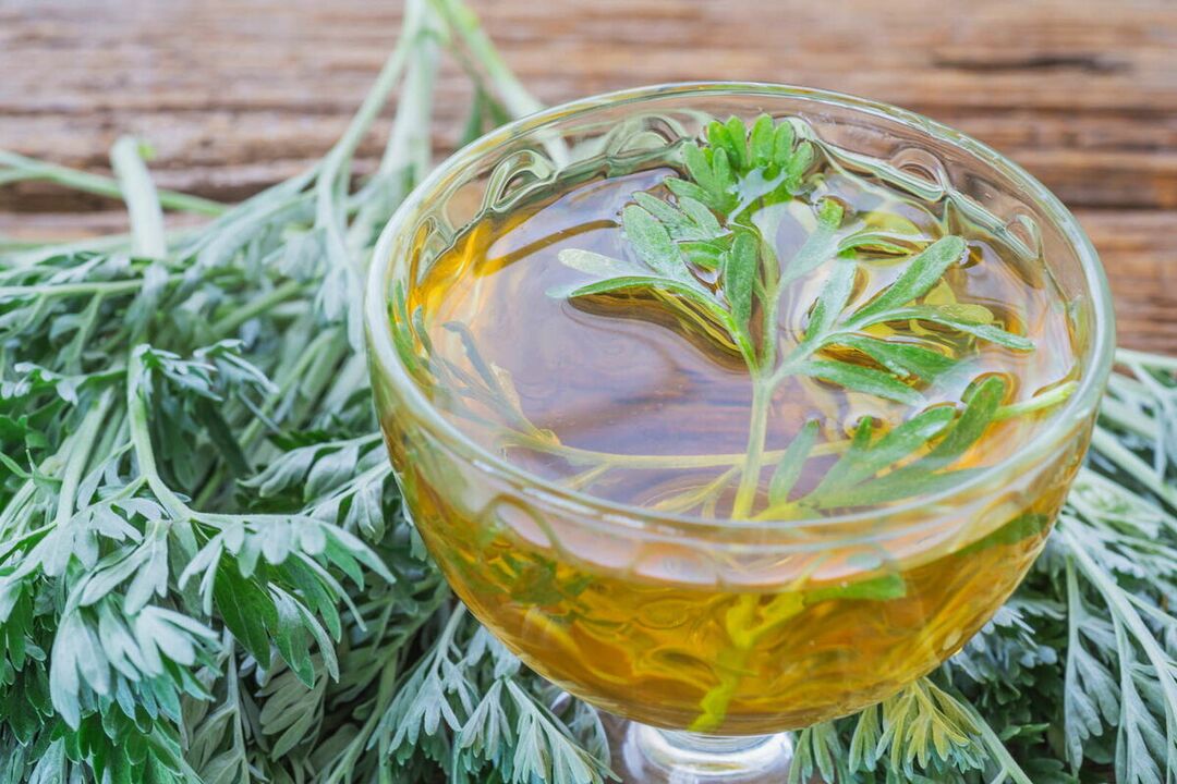 Wormwood decoction to treat parasites
