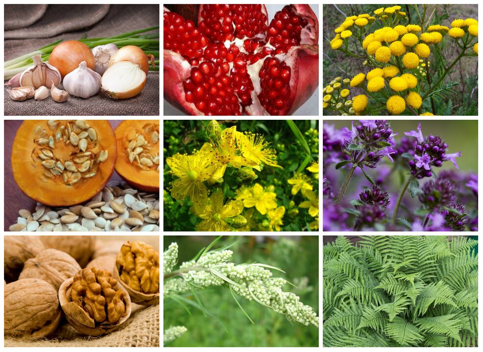 Herbal remedies to fight parasites